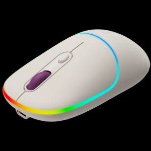 MIŠ CANYON mouse MW-22 2in1 BT/ Wireless Rice CNS-CMSW22RC